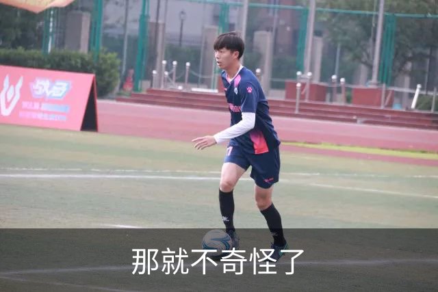 那就不奇怪了